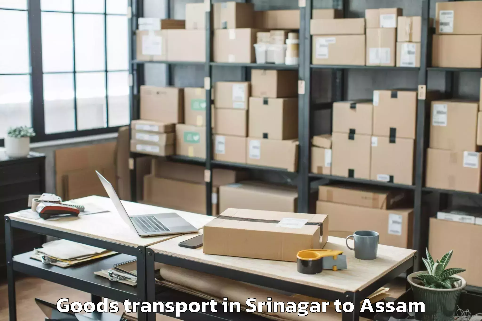 Book Your Srinagar to Bhergaon Goods Transport Today